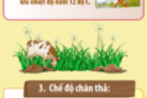 [Infographic] – Làm gì để bảo vệ gia súc mùa giá rét
