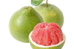 Trồng bưởi da xanh theo hướng VietGAP