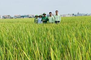 Khuyến nông Nghệ An, những dấu ấn để lại