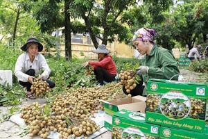 Doanh thu trên 1.900 tỷ đồng từ kinh tế trang trại