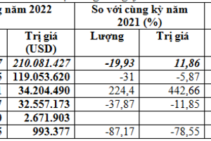 Nhập khẩu lúa mì 2 tháng đầu năm 2022 giảm về khối lượng, tăng kim ngạch