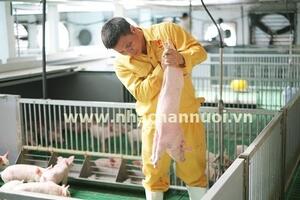 Lâm Đồng: Mật độ chăn nuôi không quá 0,8 đơn vị/ha đất nông nghiệp
