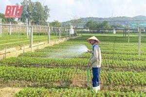 Bảo vệ cây trồng trong mùa nắng nóng