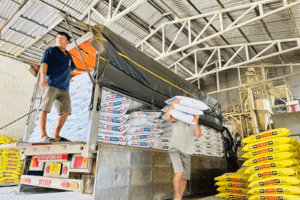 Thức ăn chăn nuôi giảm giá lần thứ 5, người chăn nuôi giảm áp lực