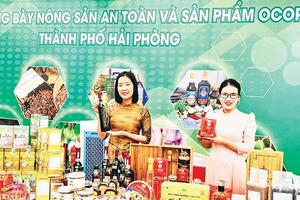 Hải Phòng: Khuyến khích các doanh nghiệp đầu tư vào nông sản