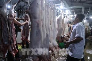 Hà Nội xây dựng chuỗi liên kết trong chăn nuôi quy mô lớn