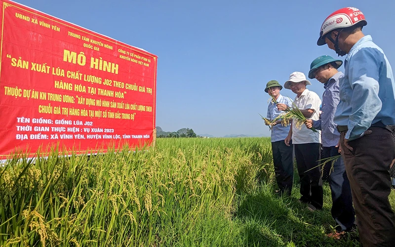 Hệ thống khuyến nông đồng hành, hỗ trợ nông dân