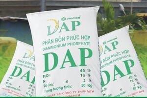 Phân bón DAP Đình Vũ: Hiệu quả vượt trội cho cây trồng