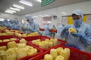 Chuyên gia Hoàng Trọng Thuỷ: Việc xây dựng Bộ chỉ số FTA Index là hết sức quan trọng!
