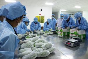 Hiệp định RCEP: Thúc đẩy xuất khẩu nông sản Việt Nam sang Hàn Quốc