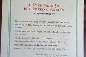 Hà Tĩnh: 66% trang trại đang thiếu giấy chứng nhận đủ điều kiện chăn nuôi