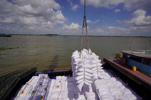 Nông sản bền vững – chìa khóa mở cửa thị trường quốc tế
