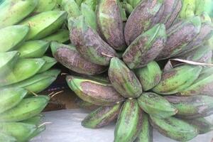 Cây chuối hột: Những công dụng và bài thuốc quý