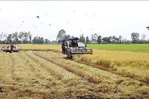 Xuất khẩu sản phẩm trồng trọt hướng đến mục tiêu trên 26 tỷ USD