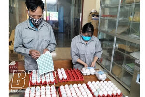 Thái Bình: 5 sản phẩm chăn nuôi được công nhận sản phẩm OCOP