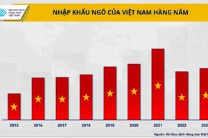 Nguồn cung nguyên liệu gia tăng, tại sao ngành chăn nuôi vẫn gặp khó?
