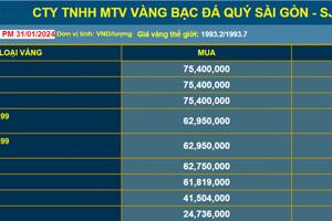 Chuyên gia nêu lý do giá vàng có thể chinh phục mức cao mới trong năm 2024