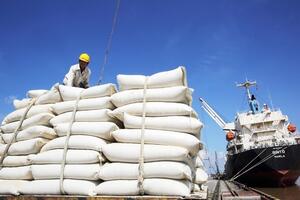 Hàng loạt doanh nghiệp "xù" hợp đồng cung cấp dự trữ gạo: Chuyên gia nói gì?