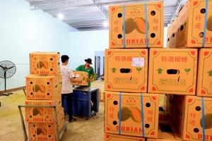 Đề nghị Trung Quốc mở rộng nhập khẩu hàng hóa, nông thủy sản của Việt Nam