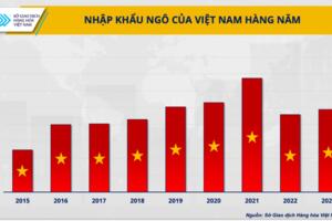 Doanh nghiệp thức ăn chăn nuôi trong bối cảnh giá nguyên liệu biến động không ngừng