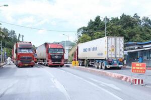 Lạng Sơn: Hàng chục nghìn tấn nông sản được thông quan trong Tết Giáp Thìn