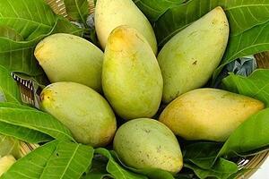 Xuất khẩu nông sản sang Hàn Quốc cần lưu ý quy định mới