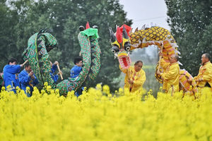 Trung Quốc: Năng suất cây trồng “tăng cao” đe dọa tính nghiêm ngặt của nghiên cứu khoa học