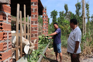 Đổi mới mô hình chăn nuôi để tăng thu nhập