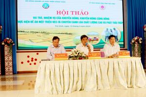 Nông dân miền Tây có thể lãi thêm 16 nghìn tỷ đồng nhờ cách trồng lúa mới