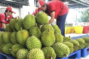Nông, lâm, thủy sản xuất siêu tăng gần 100% trong quý I