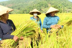 Hà Giang hướng tới mục tiêu đưa ngành nông nghiệp phát triển đột phá