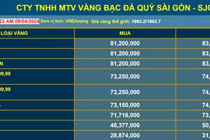 Giá vàng tăng cao nhiều người "đu đỉnh", chuyên gia khuyến cáo nhà đầu tư mua vàng thận trọng