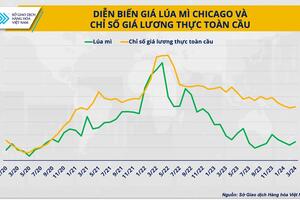 Giá lúa mì - một chỉ báo rủi ro của thị trường nông sản từ các cuộc xung đột chính trị