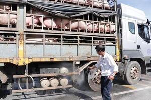 Sản phẩm chăn nuôi nhập khẩu: Đe dọa ngành chăn nuôi nội địa!
