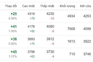 Giá cà phê hôm nay ngày 14/6/2024: Giá cà phê trong nước quay đầu tăng nhẹ