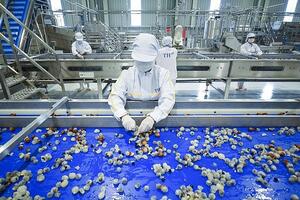 Sơn La: Đẩy mạnh phát triển công nghiệp chế biến nông sản