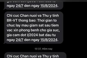 Bà Rịa – Vũng Tàu: Triển khai dịch vụ nhắn tin đến người chăn nuôi