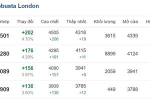 Giá cà phê hôm nay 25/6/2024: Giá cà phê trong nước giảm nhẹ, giá cà phê thế giới tăng mạnh