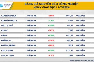 Xuất khẩu cà phê giảm “sốc” 40%