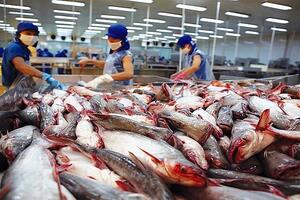 Xuất khẩu cá tra sang EU tăng trưởng không ổn định