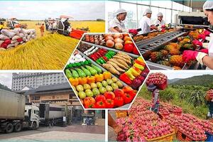 Nông sản đang là mặt hàng Trung Quốc có nhu cầu tiêu thụ nhiều nhất