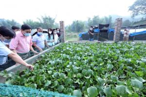 Lạng Sơn: Kinh tế tập thể, hợp tác xã góp sức thay đổi diện mạo nông thôn thời kỳ hội nhập