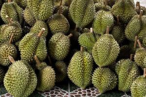 Giá nông sản hôm nay ngày 6/8/2024: Tiêu trong nước giảm sốc, sầu riêng chờ giá tăng