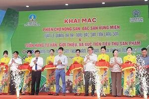 Quảng bá na Chi Lăng, nông đặc sản tỉnh Lạng Sơn năm 2024 tại Hà Nội