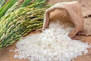 Chuyên gia lý giải việc giá lúa tăng cao, giá gạo lại giảm nhẹ