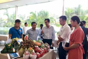 Đưa nông sản Đắk Nông vào thị trường TP Hồ Chí Minh