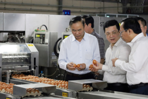 Tây Ninh: Điểm sáng thu hút đầu tư ngành chăn nuôi, chuyển tiềm năng thành động lực