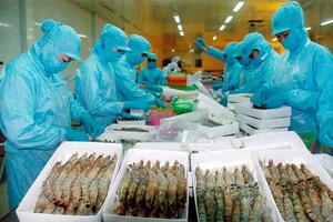 Xuất khẩu nông sản: Lưu ý mới từ thị trường