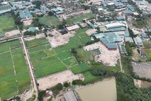 Tân Triều, Hà Nội: Nhức nhối nạn san lấp đất nông nghiệp làm nhà xưởng