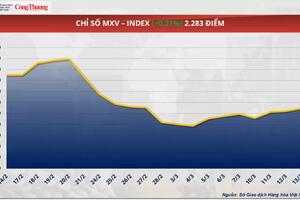 Giá cà phê Arabica giảm xuống mức 8.316 USD/tấn